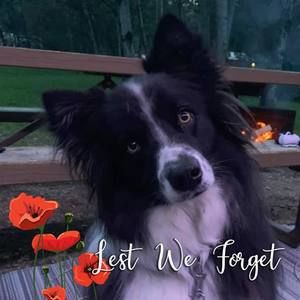 Meet your Posher, Gemma